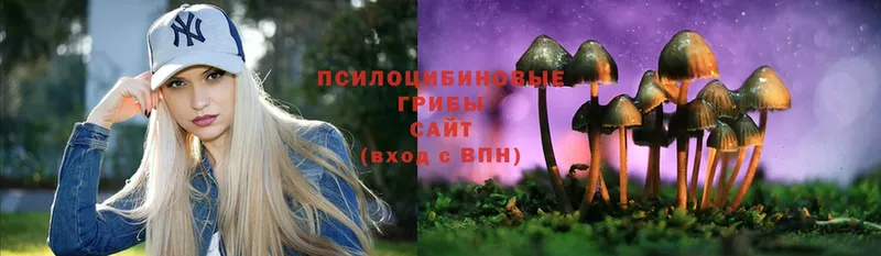 Галлюциногенные грибы Magic Shrooms  купить наркоту  Зеленоградск 